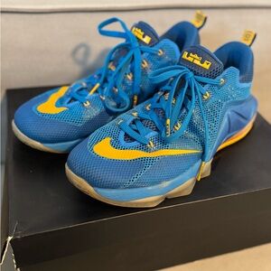 Nike Lebrons men’s Blue and Yellow Sneakers